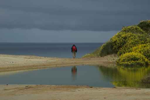 Sandfly Bay Track - Otago Peninsula