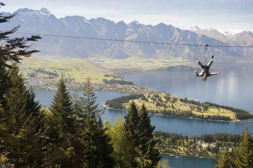 Ziptrek Ecotours