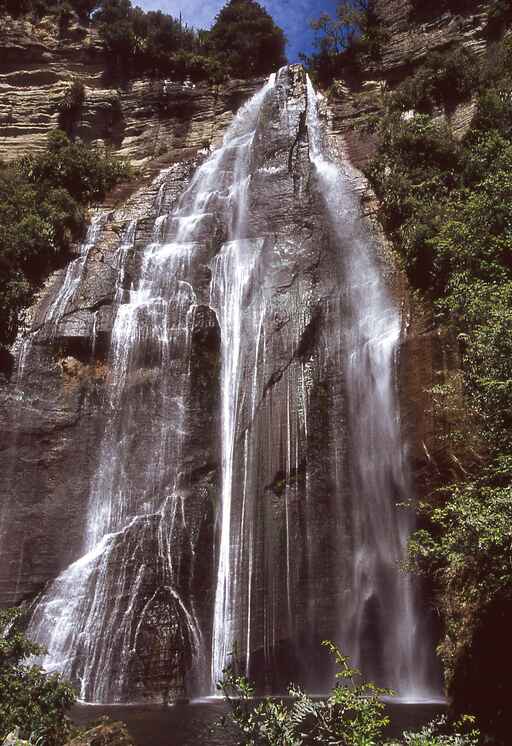 Kamahi Loop Track to Shine Falls and Heay's Access Road - Boundary Stream