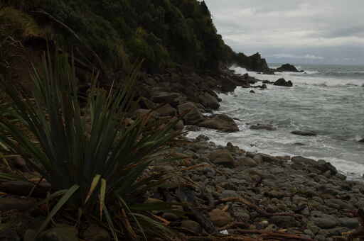 Wharekai-Te Kaau Walk - Jackson Bay