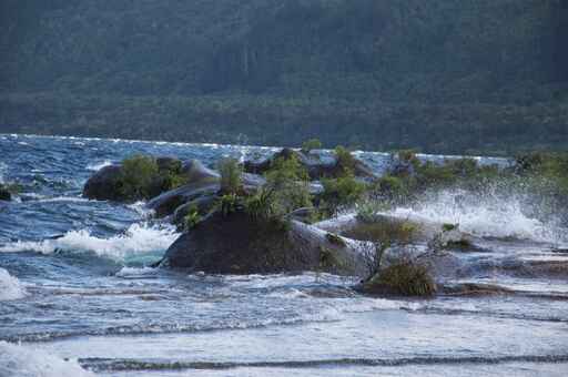 Rangatira Point Walking Track - Lake Taupo 