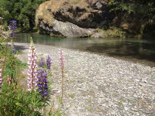 Arrowtown Millennium Walk