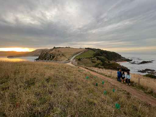 Katiki Point Lighthouse Walk