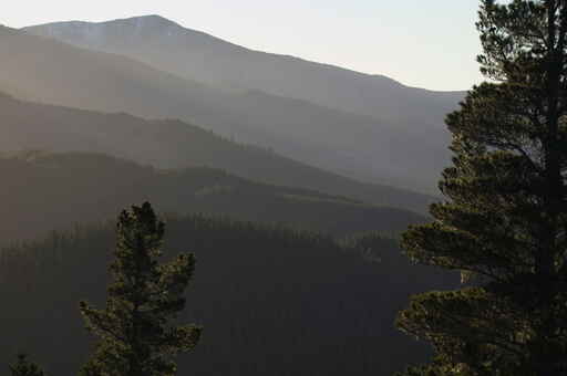 Conical Hill Walk - Hanmer Forest