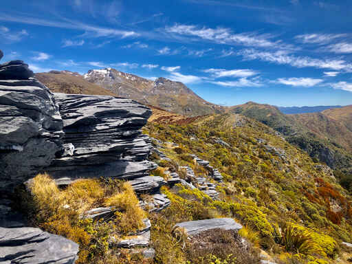 Mount / Mt Arthur Summit