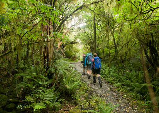 Fiordland National Park - DOC Visitor Centre