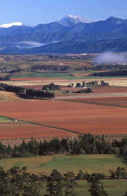 Quail Junction and Rotary Lookout Loop - Wither Hills Farm Park