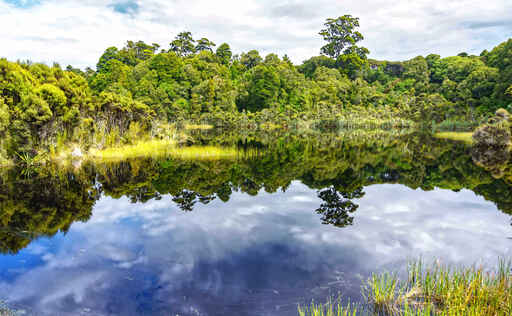 Lake Wilkie walk