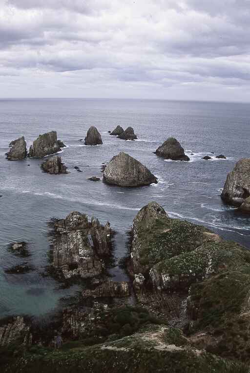 Nugget Point / Tokata - Roaring Bay Penguin Hide and Walk