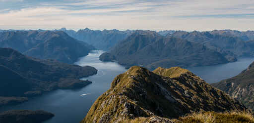 Go Orange - Doubtful Sound