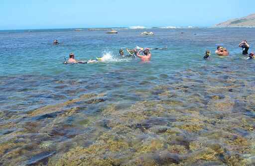 Te Tapuwae O Rongokako Marine Reserve