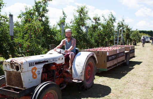 Harvest Cidery