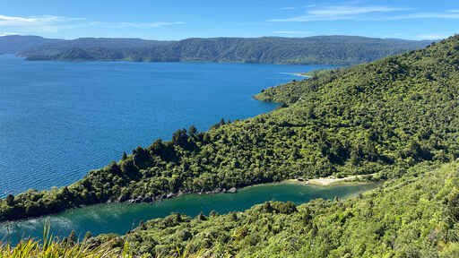 Rosie Bay Campsite - Te Urewera