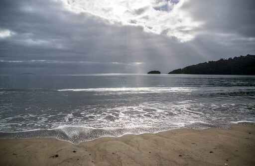 Māori Beach Campsite - Rakiura National Park