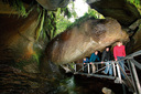 Te Anau Glowworm Caves - Real Journeys