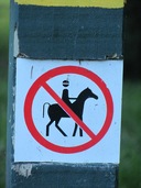 No horsing around....