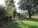 Peel Forest, one of the many walkways