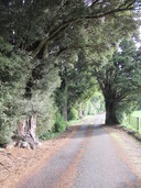 Entrance to Anzac Park.