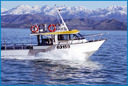 The Takapu, voted best boat in Kaikoura by the 'A Team'