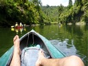 Canoe down the mighty Whanganui River