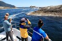 Seal Watching - Doubtful Sound Overnight Cruise