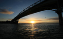 New Zealand's only Harbour Bridge Bungy