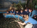 Feeding the fish in the Salmon World Aquairum