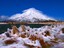 Pouakai Plateau Tarn after snowfall. 15 minutes from Hut. 