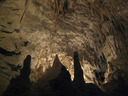 Ruakuri Cave