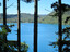 The Blue lake through the trees