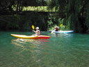 Kayak pristine Opotiki Rivers