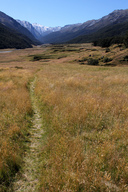 Rees Dart tussock lands