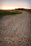 Little River Rail Trail - Christchurch