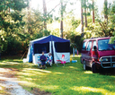 Puketi Campsite - Puketi Forest