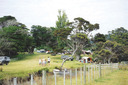 Harataonga Camping Ground 