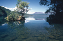 Lake Tarawera Outlet Camping Ground