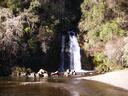 Mangamate Camping Ground - Whirinaki Forest Park