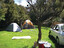 Holdsworth Camping Ground - Tararua Forest Park