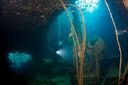 Diver inside the engine room of the Rainbow Warrior.