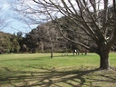 Pioneer Park Camping Ground