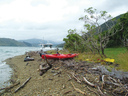 Pipi Beach in Pelorus Sound