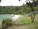 Ferndale Scenic Reserve