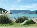 Nikau Cove Camping Ground