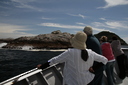 Checking out the seals.