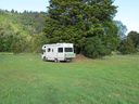 Grassy areas near native trees