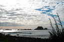 Lone Surfer loving life at Tauranga Bay