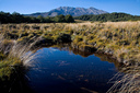 View of Mt Ruapehu near the beginning of Walk