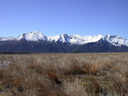 View of Mt Arthur across the Tablelands 