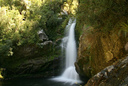 Wainui Falls