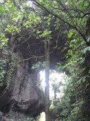 Natural bridge